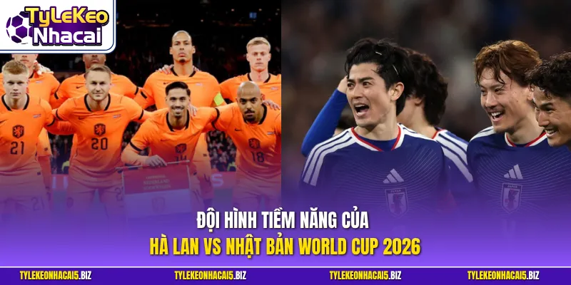 Đội hình tiềm năng của Hà Lan vs Nhật Bản World Cup 2026